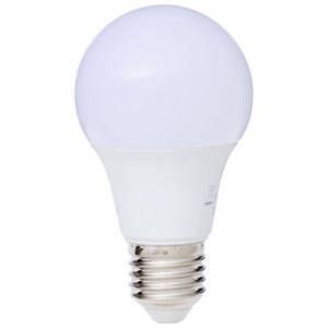 A60 LED Globes