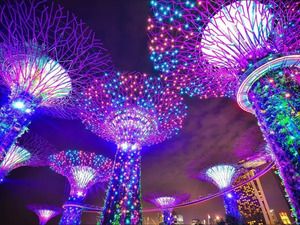 Singapore Airlines: Perth to Singapore Return