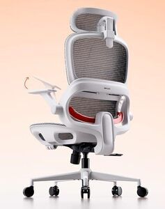 SIHOO B100 Ergonomic Office Chair