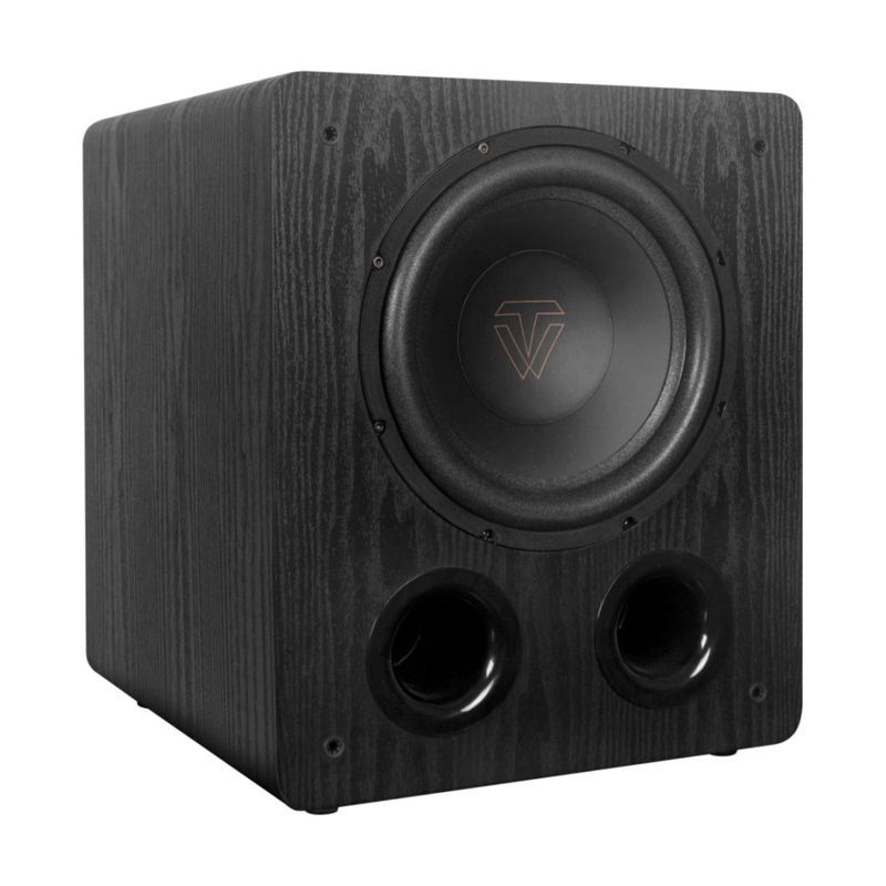 Tonewinner SW-1000 10 Inch 200W Stereo Subwoofer Black