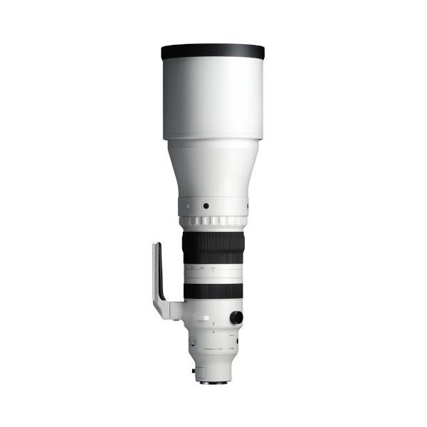 Sigma 300-600mm F4 DG OS Sports - L Mount