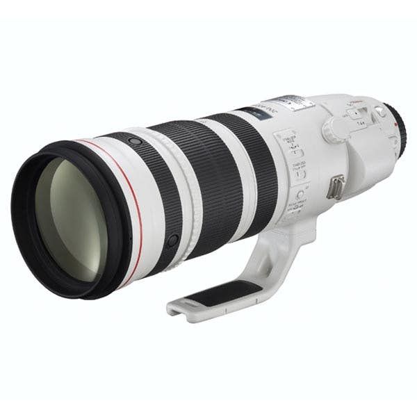 Canon EF 200-400mm f4L IS USM + 1.4x Tele-converter